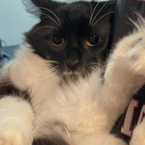 Meet your Posher, Andrew